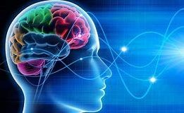 neurofeedback-e1680559521229